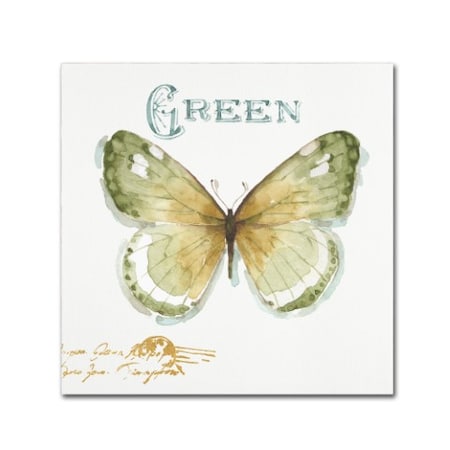 Lisa Audit 'My Greenhouse Butterflies IV' Canvas Art,24x24